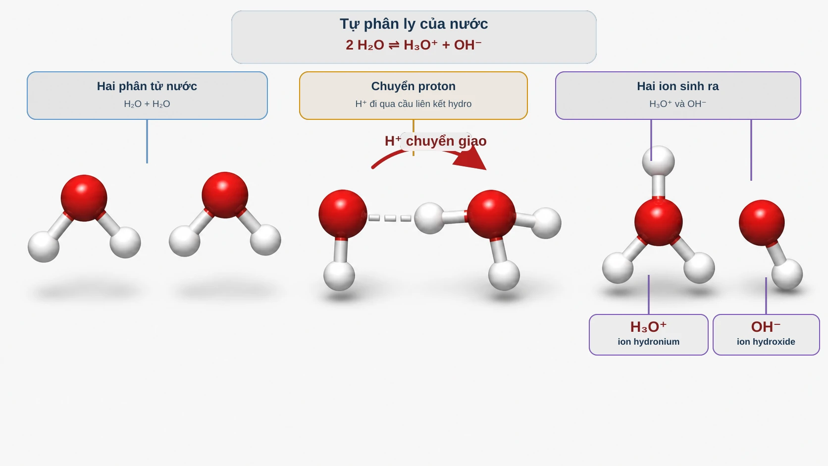Quá trình tự phân ly của nước